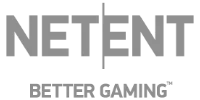 Pagamento 12 partner logo